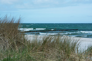 Image showing Groyne in Zingst, Darss, Germany