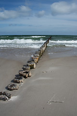 Image showing Groyne in Zingst, Darss, Germany