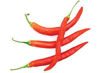Image showing Spicy Peppers