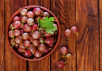 Image showing gooseberry