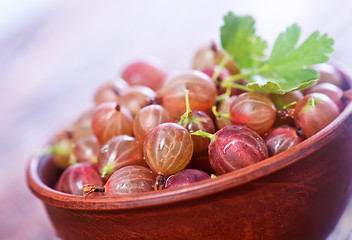 Image showing gooseberry