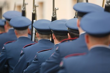 Image showing Armed palace guards