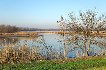 Image showing Lakeside autumn landscape