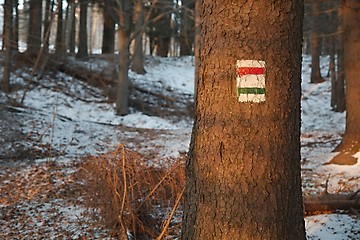 Image showing Hiking trail signs