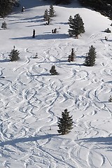 Image showing Ski Slope with Fresh Curves