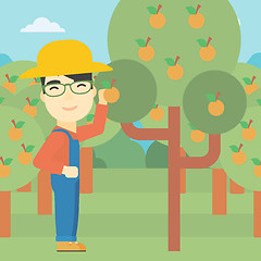 Image showing Farmer collecting oranges vector illustration.