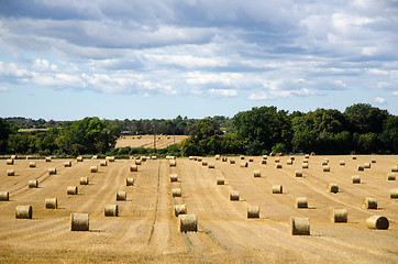 Image showing Round strawbales in a field