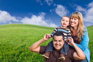 Image showing Mixed Race Family In Green Grass Field