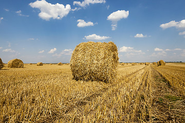 Image showing packed straw, cereals