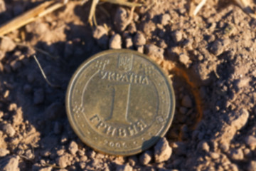 Image showing coin in the straw