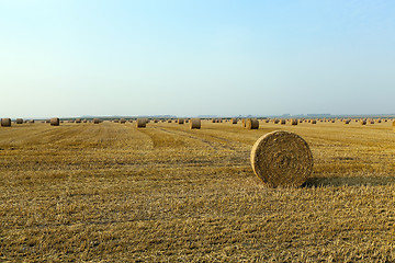 Image showing stack of straw in the field