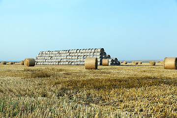 Image showing stack of straw in the field