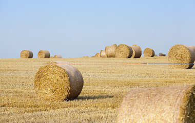 Image showing stack of straw in the field