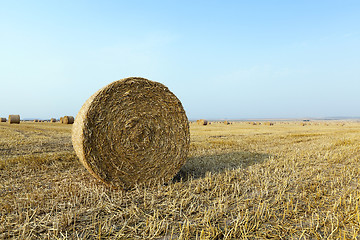 Image showing straw in the field