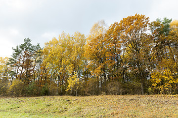 Image showing Nature in autumn season