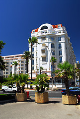 Image showing Croisette promenade in Cannes, France