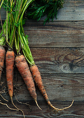 Image showing raw carrots on the ground