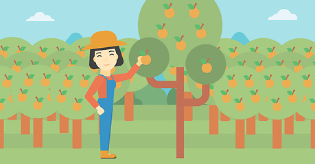 Image showing Farmer collecting oranges vector illustration.