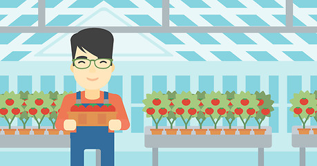 Image showing Farmer collecting tomatos vector illustration.