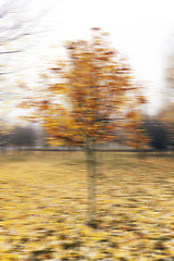 Image showing Autumn Park, overcast