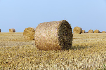 Image showing haystacks in a field of straw