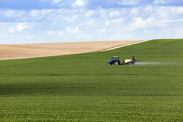 Image showing Processing of cereal