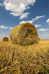 Image showing haystacks straw, close up