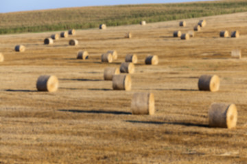 Image showing stack of straw in the field