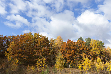 Image showing Nature in autumn season