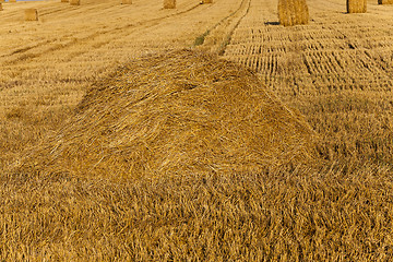 Image showing Stack of straw