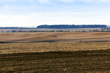 Image showing agricultural field with cereal