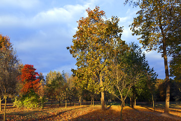 Image showing autumn in the park