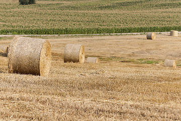 Image showing stack of straw in the field