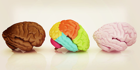 Image showing Human brains. 3D illustration. Vintage style.