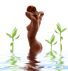 Image showing redhead nude in water with green plants