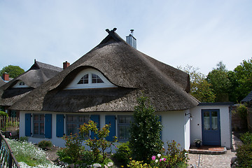 Image showing House in Wustrow, Darss, Germany