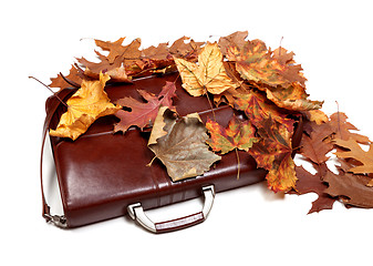 Image showing Brown leather briefcase and autumn multicolor dry leaves