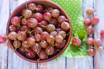 Image showing gooseberry