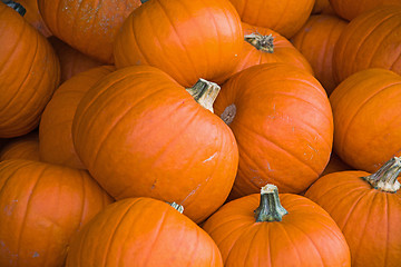 Image showing Pumpkin in Autumn