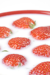 Image showing strawberry and milk