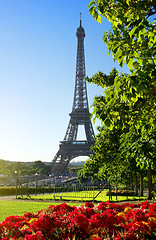 Image showing Flower and Eiffel Tower