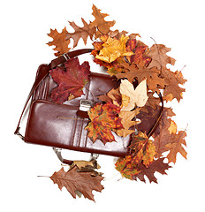 Image showing Brown leather briefcase and autumn dry leaves