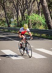 Image showing Grosseto, Italy - May 09, 2014: The disabled cyclist with the bike during the sporting event