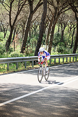 Image showing Grosseto, Italy - May 09, 2014: The cyclist without feet with the bike during the sporting event