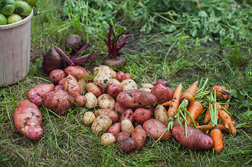 Image showing Harvest of fresh vegetables