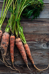 Image showing raw carrots on the ground