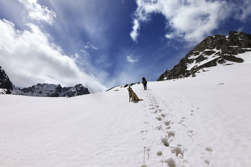 Image showing Dog and hikers in snow mountain at sun day