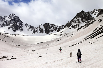 Image showing Two hikers with dog at spring snowy mountains in cloudy morning