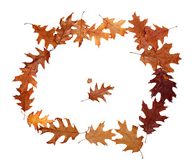 Image showing Frame of autumn dried oak leaves