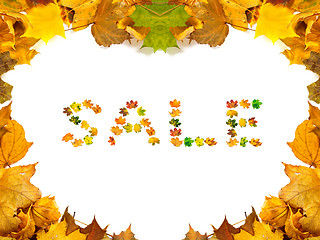 Image showing Autumn maple-leafs background with word SALE composed of autumna